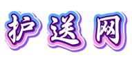 护送网